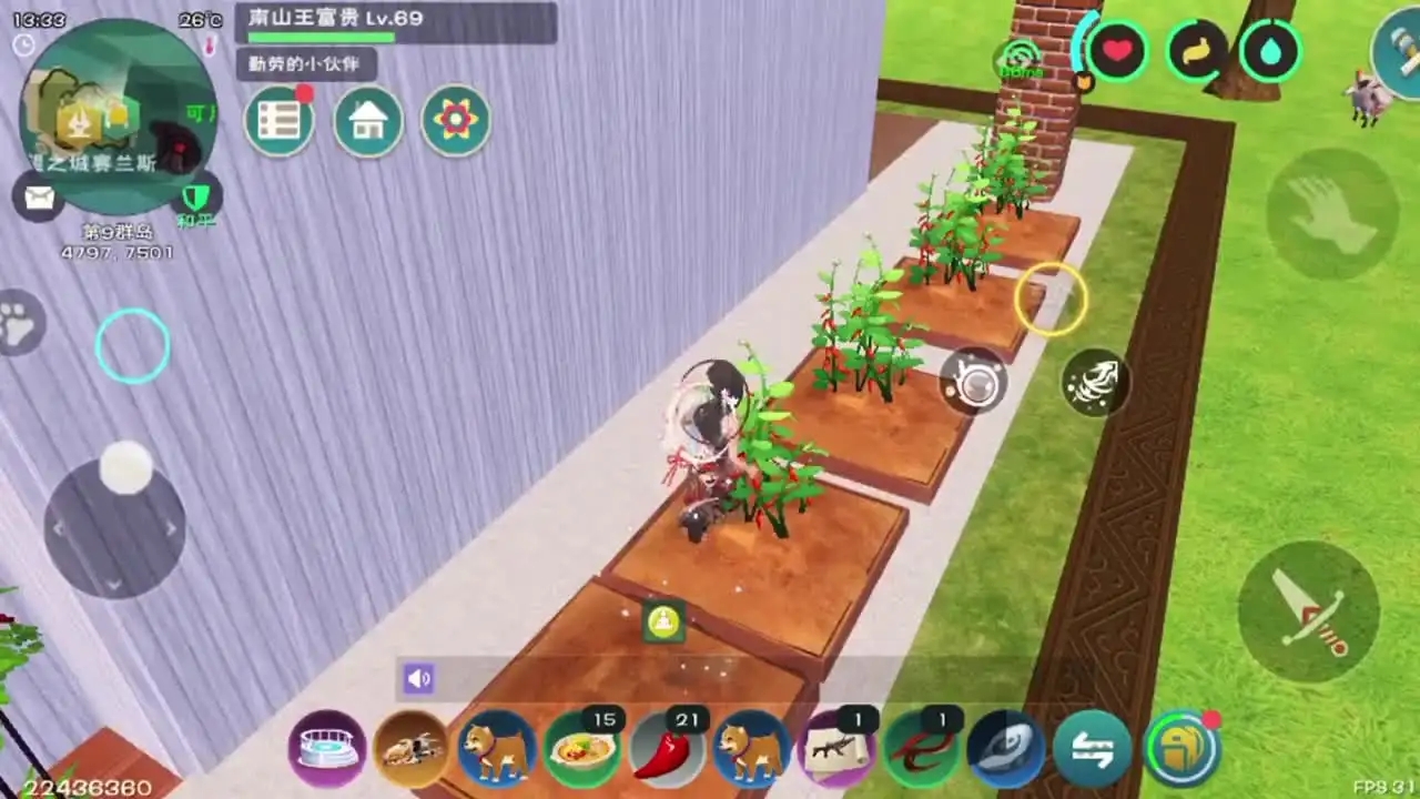 創(chuàng)造與魔法種瓜的好處