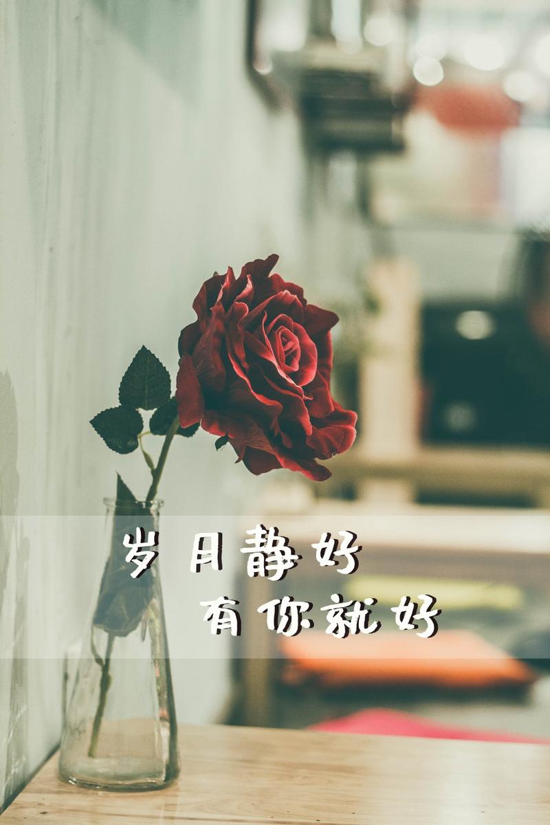 歲月靜好一切安好什么意思