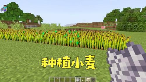 我的世界點擊npc傳送怎么弄的