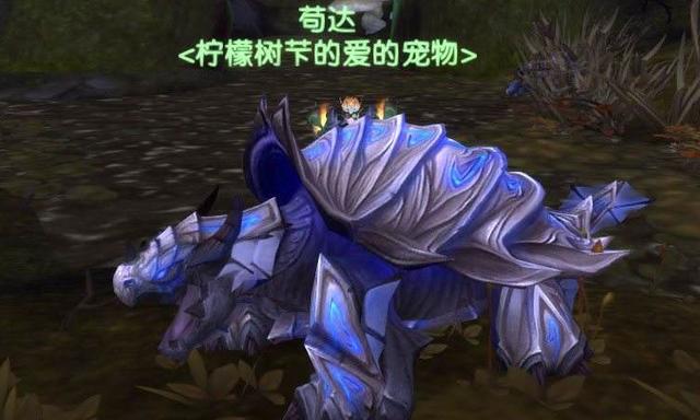 tbc10級(jí)獵人寶寶推薦