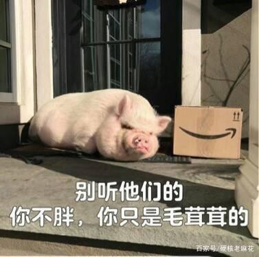 人胖怎么起外號(hào)好聽(tīng)