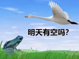 可以把我們一起出去玩改成我們?nèi)ゼs會嗎梗的意思