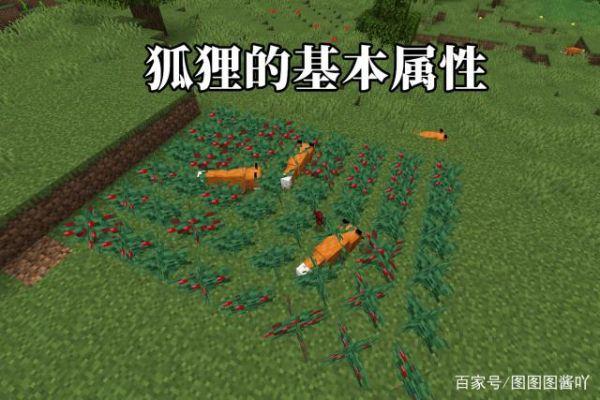 我的世界中有哪些傀儡