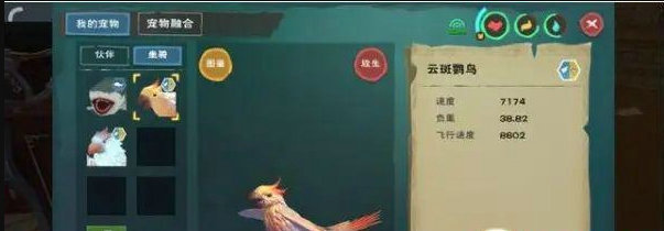創(chuàng)造與魔法斑斕鸚鵡飼料怎么做