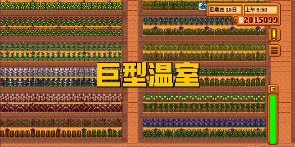星露谷物語(yǔ)夏天楊桃種植方法