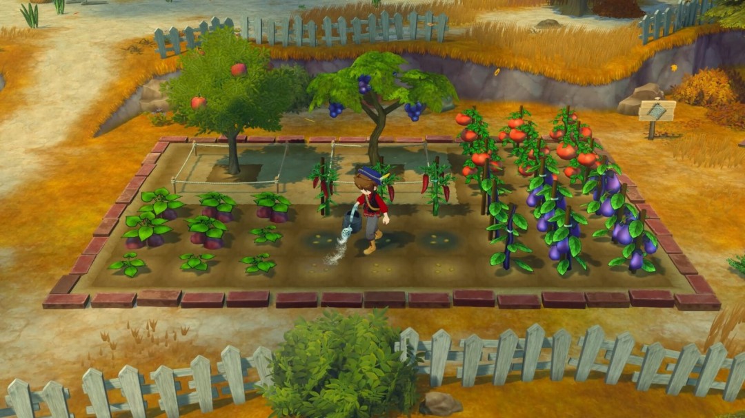 《牧場物語 來吧！風之繁華集市》上架Steam，首批截圖！