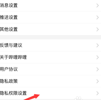嗶哩嗶哩如何允許個性化展現(xiàn)廣告推薦 嗶哩嗶哩如何允許個性化展現(xiàn)廣告推薦