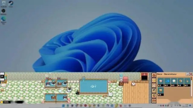 《動物溫泉》Steam頁面曝光！2025年，與萌寵共浴的休閑時光即將開啟！