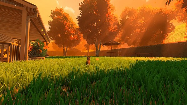 以貓咪為主角的敘事冒險(xiǎn)游戲《冒牌貓謎》登陸Steam！