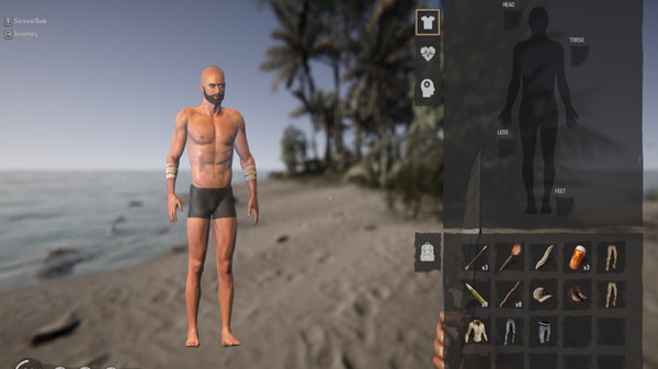 太平洋孤島上的生存模擬新游《Project Castaway》上架Steam，9月Steam搶測！